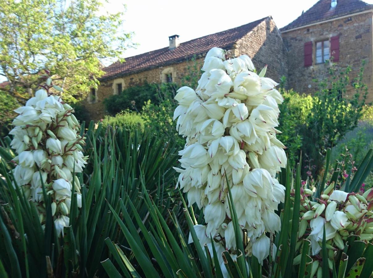 Ferienhaus La Libellule And Le Papillon At Les Leroux, Near *